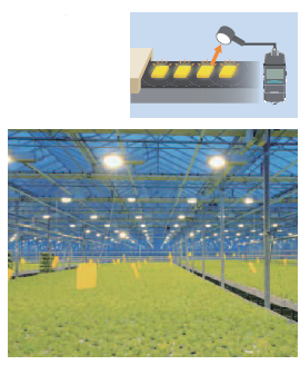 LED照明廠房的照明控制