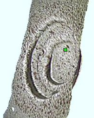 即時(shí)確認(rèn)測(cè)量對(duì)象